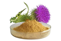 Milk Thistle