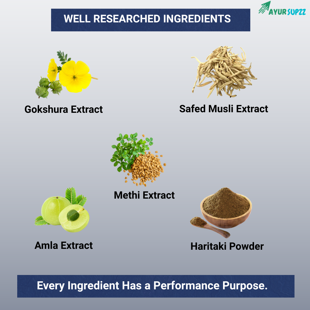 Gain X – Ayurvedic Weight Gain Support Formula
