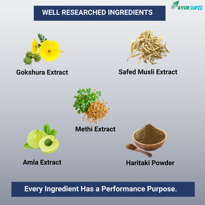 Gain X – Ayurvedic Weight Gain Support Formula
